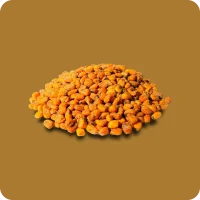 MaisMix - Arriba Mexico