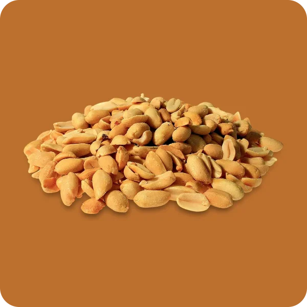 Jumbo Erdnüsse in Erdnuss-Öl geröstet und gesalzen 125g