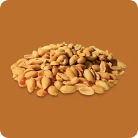 Jumbo Erdnüsse in Erdnuss-Öl geröstet und...