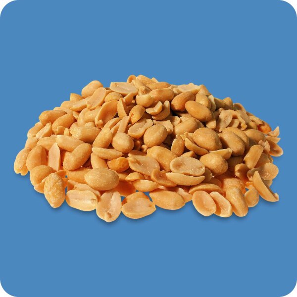 Jumbo Erdnüsse mit Meersalz 5000g