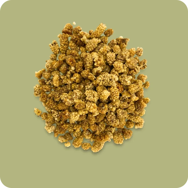 Helle Maulbeeren 5000g