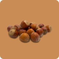 Französische  Haselnüsse in der Schale Jumbo 160g Dose
