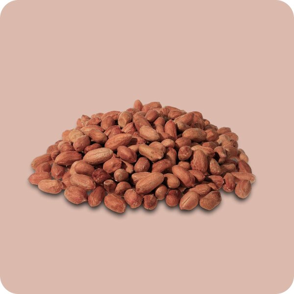 Erdnusskerne roh mit Haut 500g