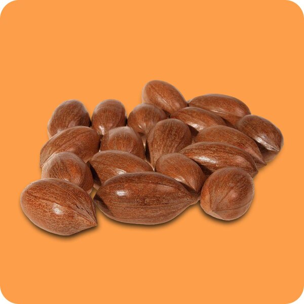 Rohe Pekan in der Schale 600g