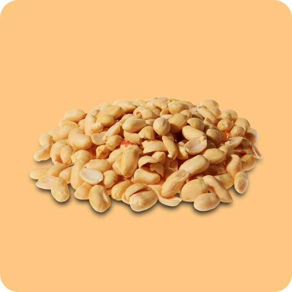 Erdnüsse ungeröstet und blanchiert ohne Haut 500g