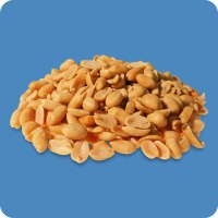 Jumbo Erdnüsse mit Meersalz 125g