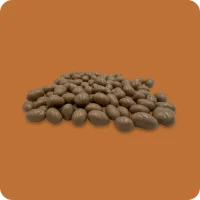 Erdnüsse in Karamell-Schokolade mit Meersalz 150g